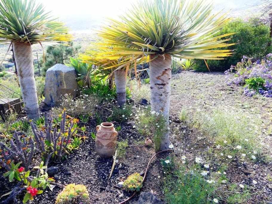 Magnificent Villa With Panoramic Views Santa Cruz de Tenerife Esterno foto